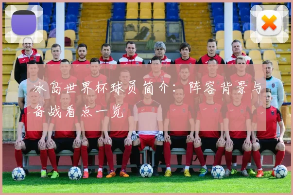 冰岛世界杯球员简介：阵容背景与备战看点一览